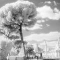 В Москве открывается фотовыставка «зазеркального» мира Арсена Ревазова В Москве открывается фотовыставка «зазеркального» мира Арсена Ревазова