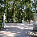 Летний сад в Петербурге открылся после реставрации Летний сад в Петербурге открылся после реставрации