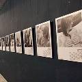 В Израиле отменили автофотовыставку из-за слишком откровенных фото В Израиле отменили автофотовыставку из-за слишком откровенных фото