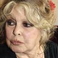 Брижит Бардо написала гневное письмо мэру Санкт-Петербурга Матвиенко Брижит Бардо написала гневное письмо мэру Санкт-Петербурга Матвиенко